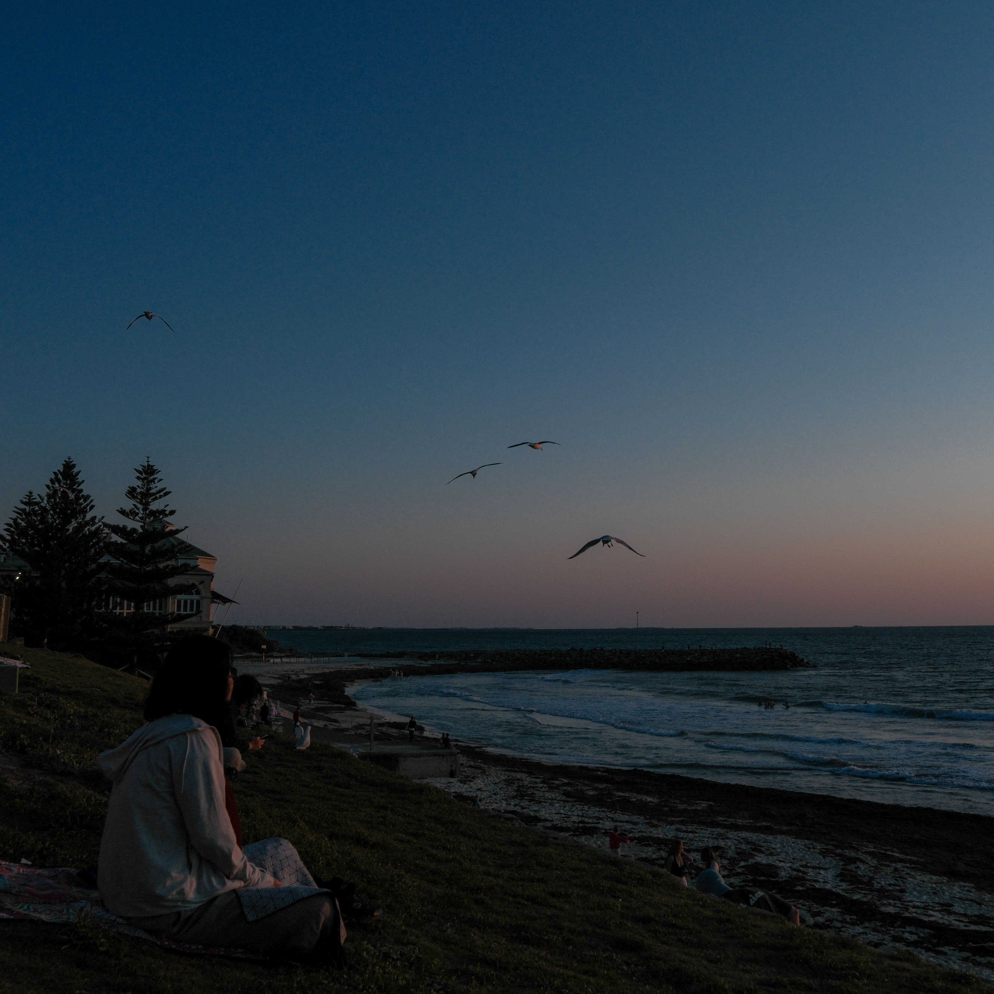 People resting above the beach as daylight fades
