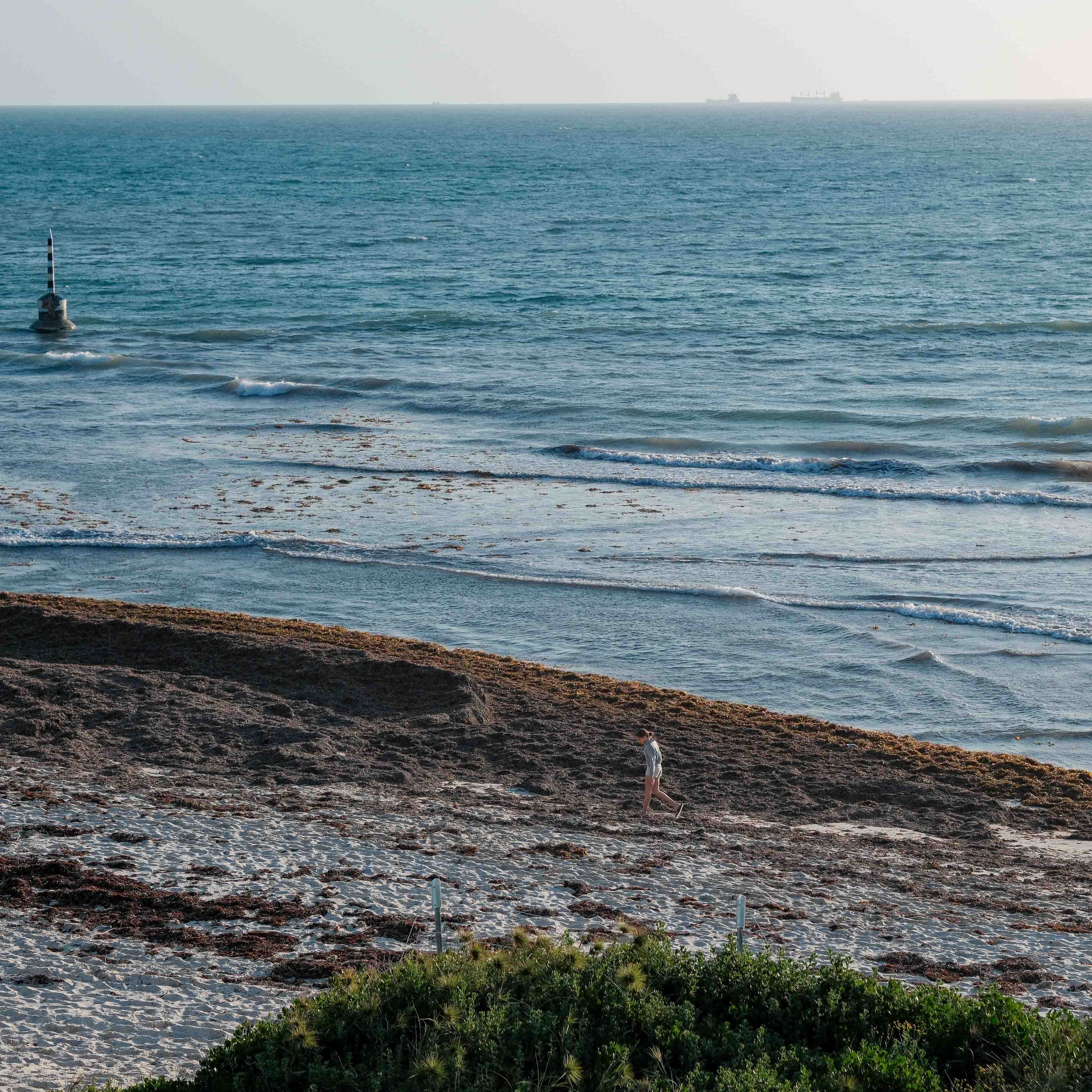 A solitary person walking beside the water